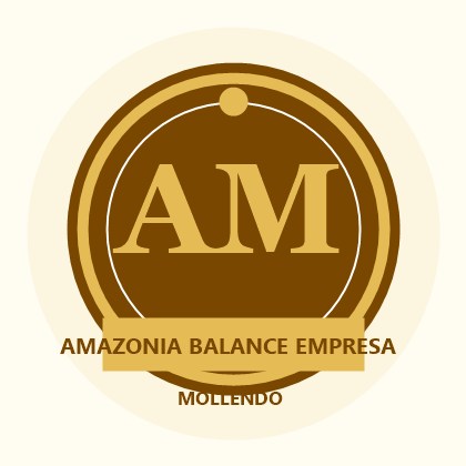 Amazonía Balance Empresarial Mollendo